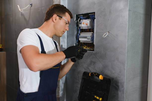 Best Ceiling Fan Installation Electrician  in Riverview, MI